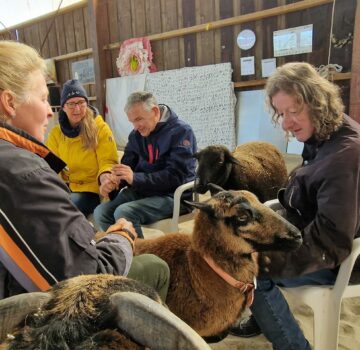 Eine GPS Mitarbeiterin, zwei GPS Beschäftigte, eine Tierpflegerin sind zusammen mit drei Schafen.