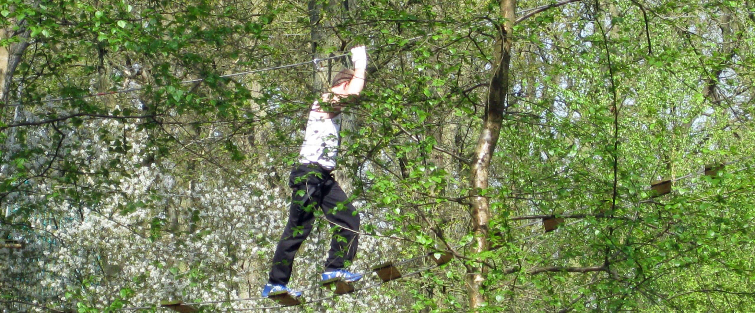 Ein junger Mann klettert oben auf einer wackeligen Kletterbrücke