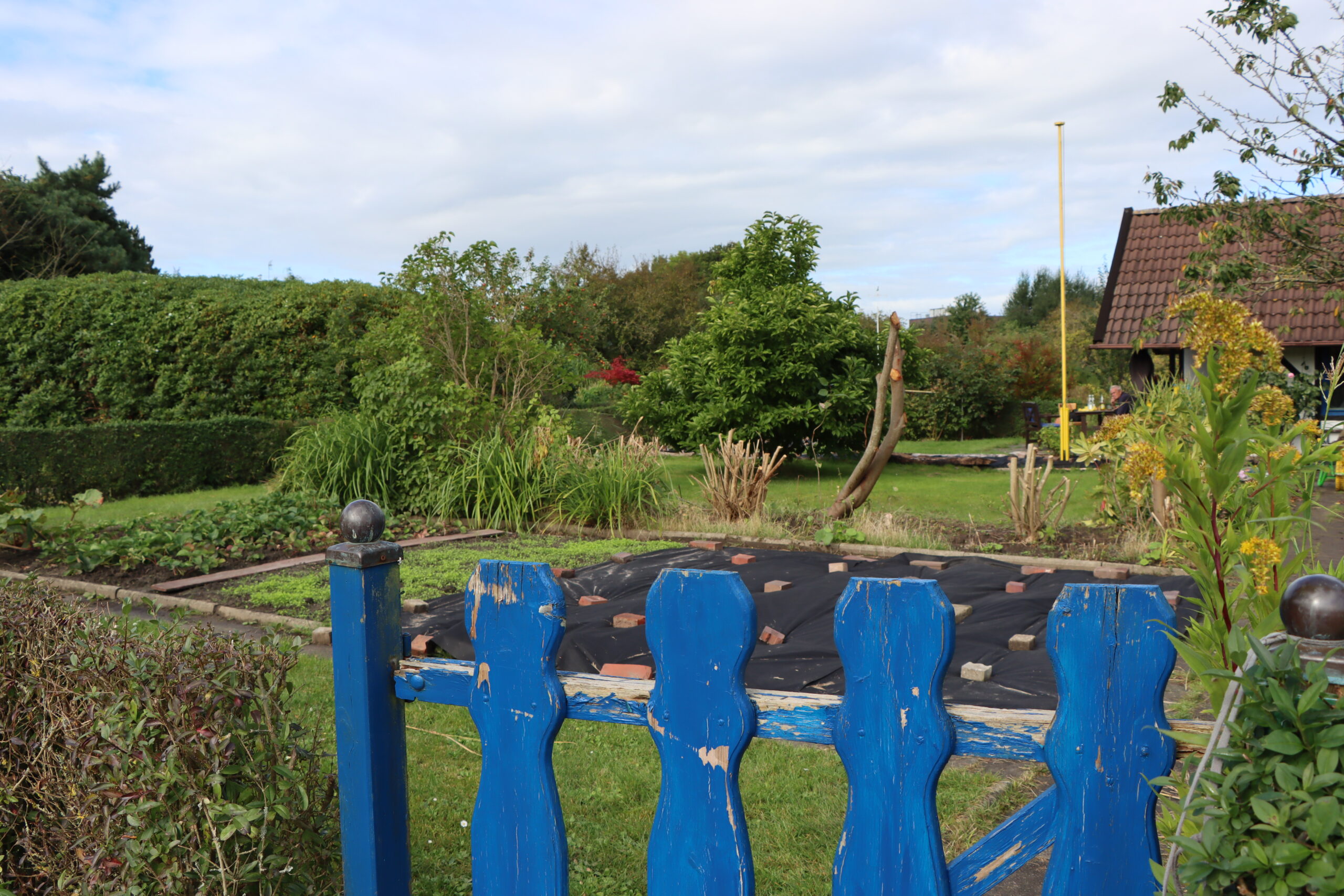 Garten der Tagesstätte Varel. Ein Gemüsefeld wird angelegt