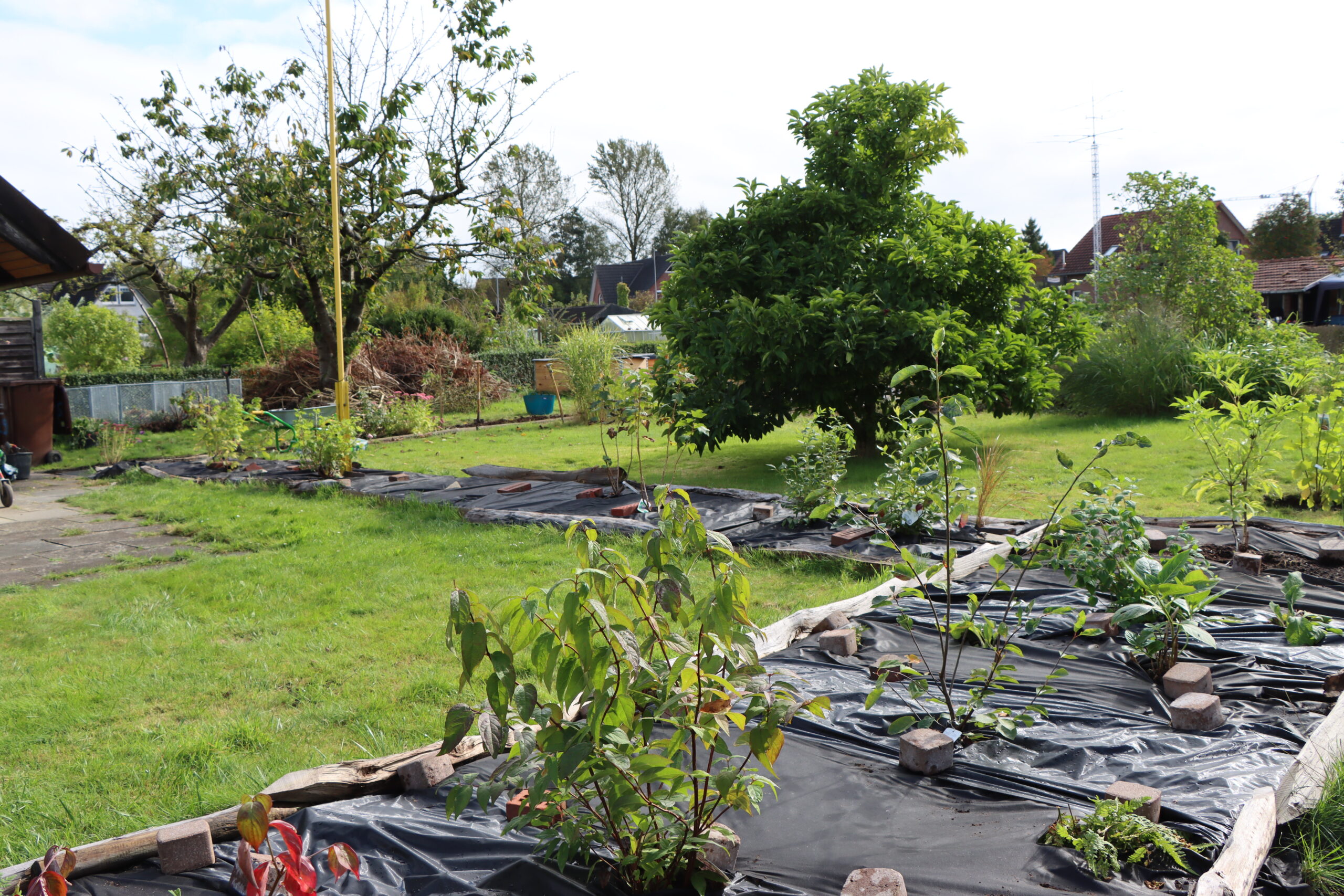 Im Garten werden Blumenbeete angelegt