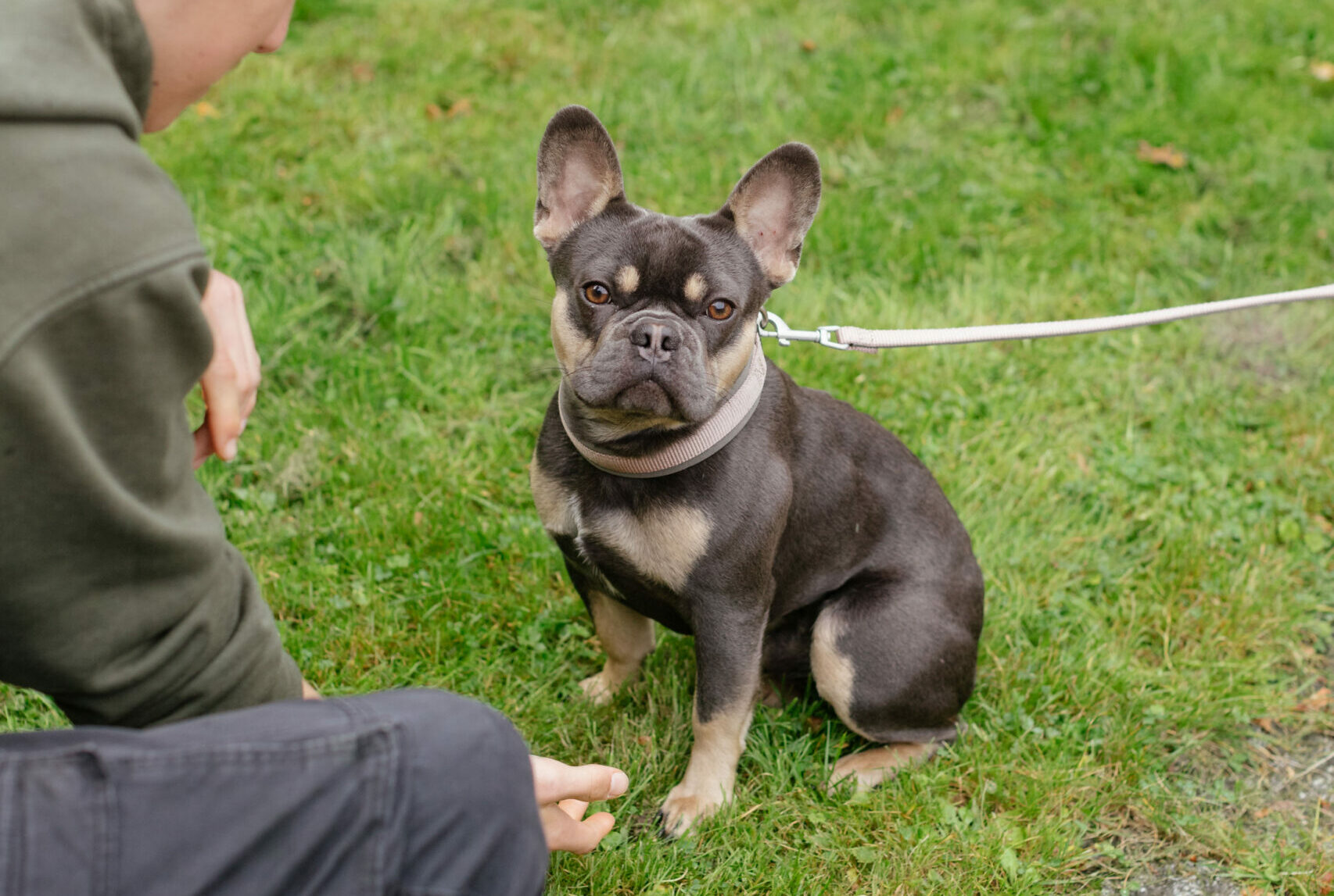 Ein Mann mit einem kleinen Hund auf der Wiese.